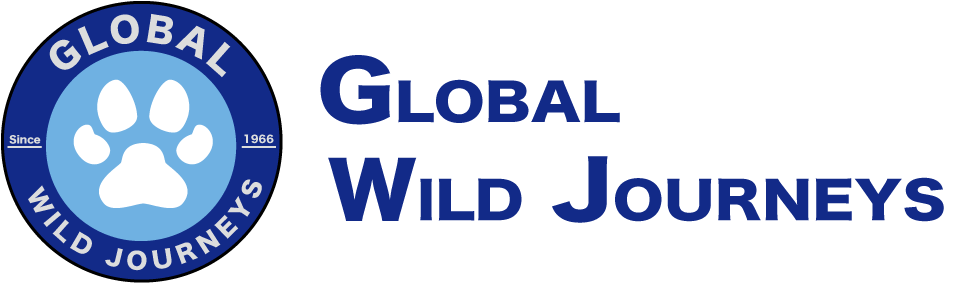 Global Wild Journey